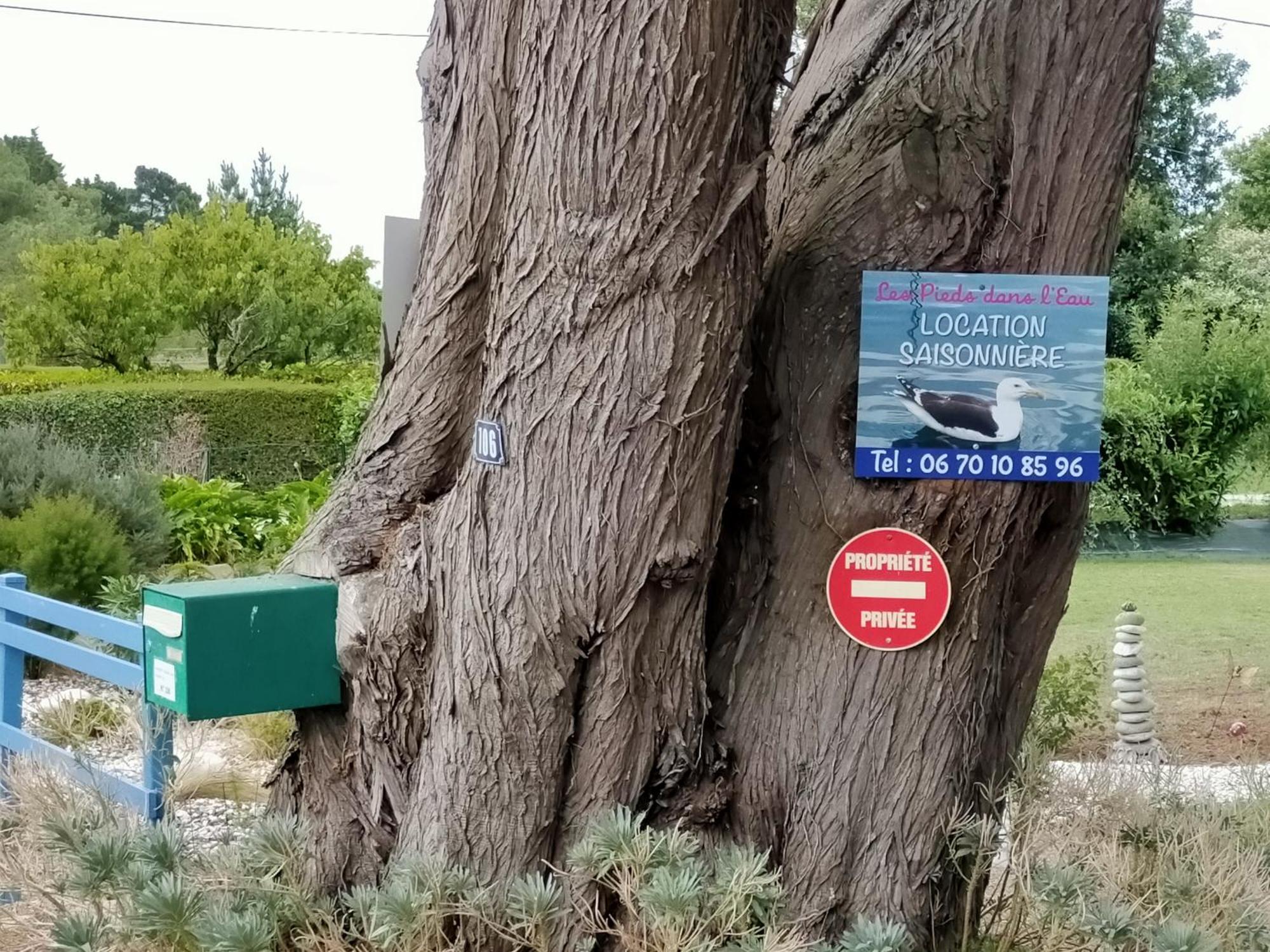 Apartamento Au Calme, Les Pieds Dans L'Eau, 106 Route De La Pointe De Ruault 56370 Sarzeau Exterior foto
